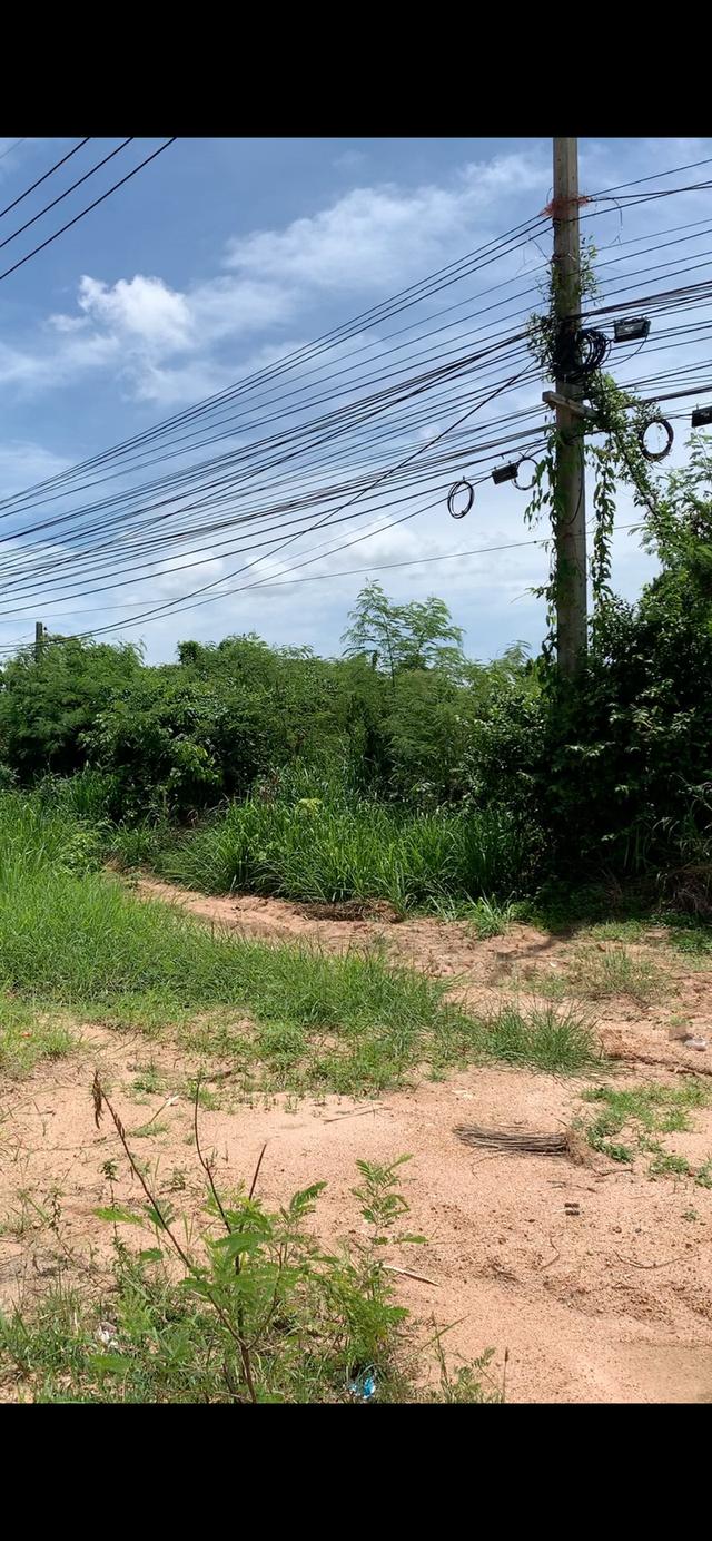 ขายที่ดินพัทยา3ไร่ ตรงอ่างเก็บน้ำมาบประชัน 3