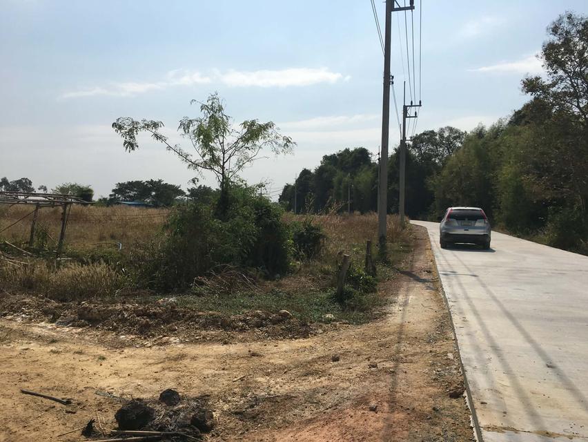 ขายที่ดินหัวหว้าติดถนนคอนกรีต 1 ไร่ เหมาะทำสวน ใกล้ถนนสี่เลนเส้น3070-2กม. อ.ศรีมหาโพธิ ปราจีนบุรี 4