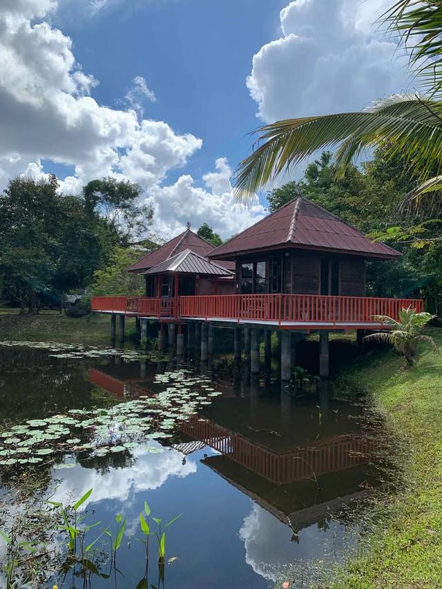 บ้านอิงลม ชมหมอก 2  วัดท่าซุงสาขา 9  วังน้ำเขียว 4 ไร่ 7.5 ล้าน 13