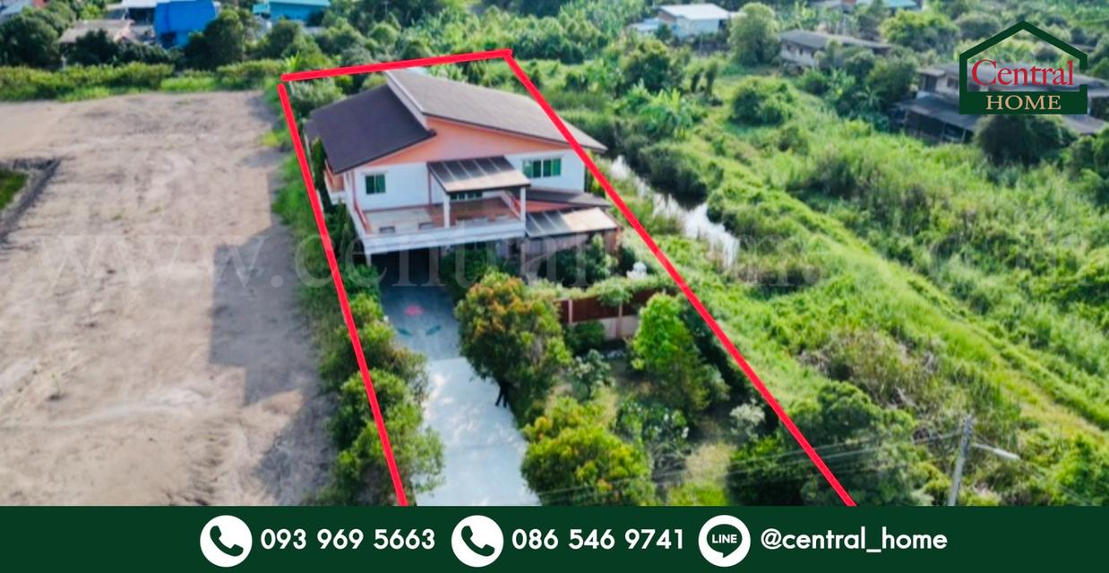 บ้านเดี่ยว 500 ตร.วา เรียบคลองบางโพธิ์เหนือ สามโคก ปทุมธานี เฟอร์ครบ พร้อมอยู่ 1