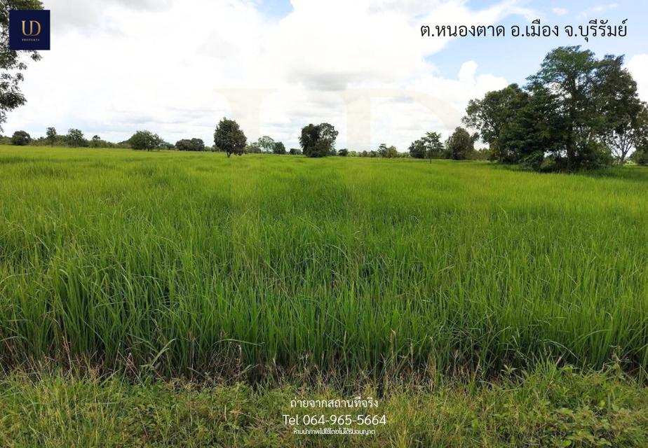 🌟 #ขายที่ดินถูกมาก อ.เมืองบุรีรัมย์ 🌟 6 ไร่ 2 งาน 77 ตร.ว. (ขายยกแปลง) 📍 ที่ตั้ง : ต.หนองตาด อ.เมืองบุรีรัมย์ จ.บุรีรัมย์ 31000 7