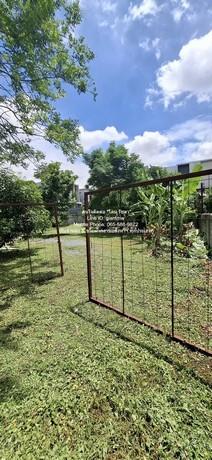 พื้นที่ดิน ขายที่ดินเปล่า 1-0-85 ไร่ (485 ตร.ว.) ใกล้ถนนประเสริฐมนูกิจ (ถนนเกษตร-นวมินทร์) ราคา 72,750,000 บาท (150,000 5