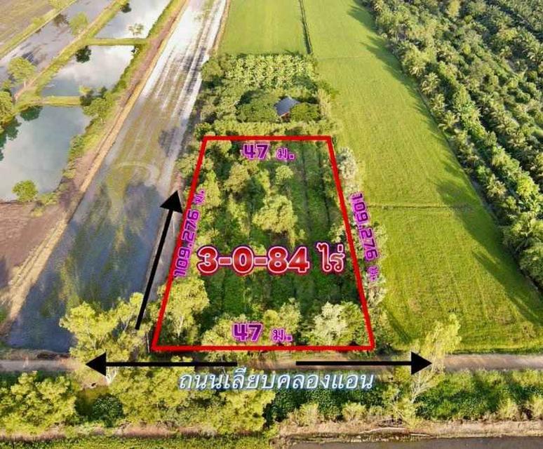 ข️ายที่ดินบึงกาสาม 3 ไร่ คลอง11 ใกล้ถนนเส้น5021-9.5กม. อ.หนองเสือ ปทุมธานี 5