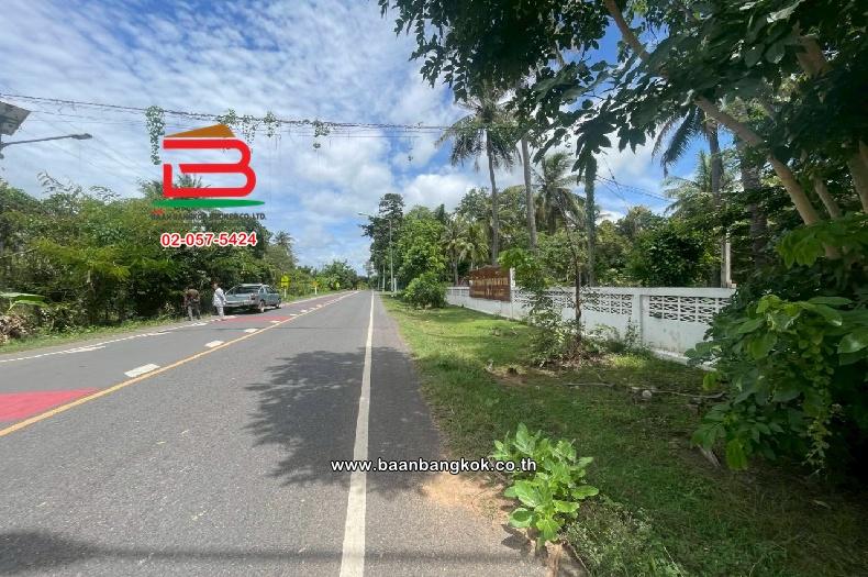 ที่ดินเปล่า หมู่บ้านโคกปราสาท เนื้อที่ 16-0-37 ไร่ (สามแยกบ้านยายพิมพ์, ใกล้โรงเรียนดอนหวาย) ตำบลหนองยายพิมพ์ อำเภอนางรอง บุรีรัมย์ 8