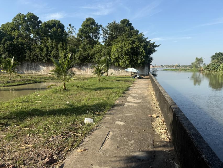 ขายที่ดินติดแม่นำ่ทำแลทอง 8