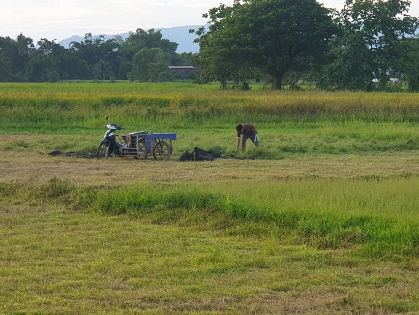 ที่ดิน 6