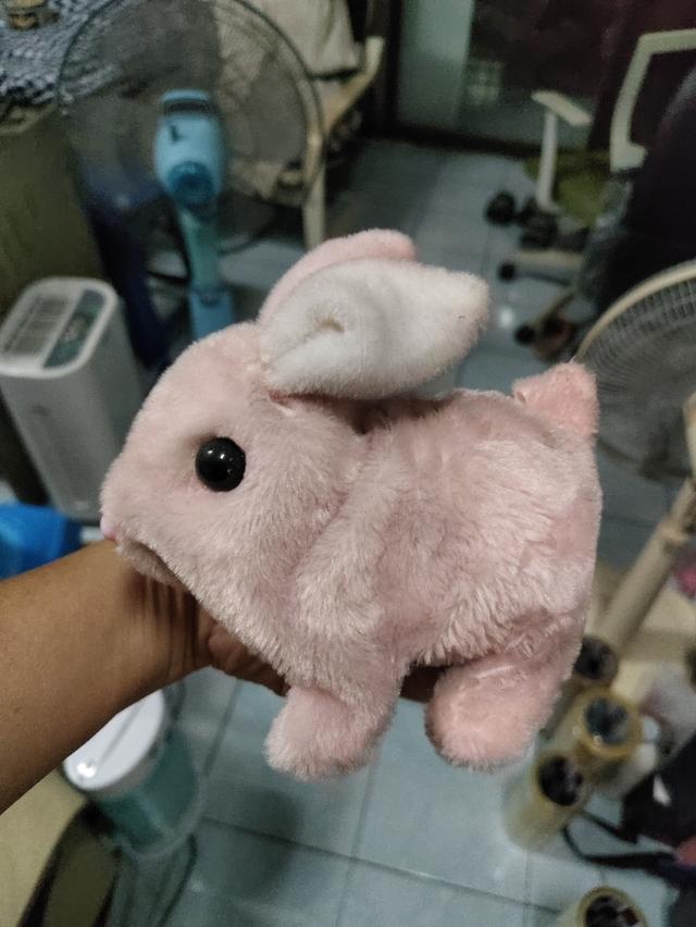 กระต่ายสีชมพูเดินได้งานดี