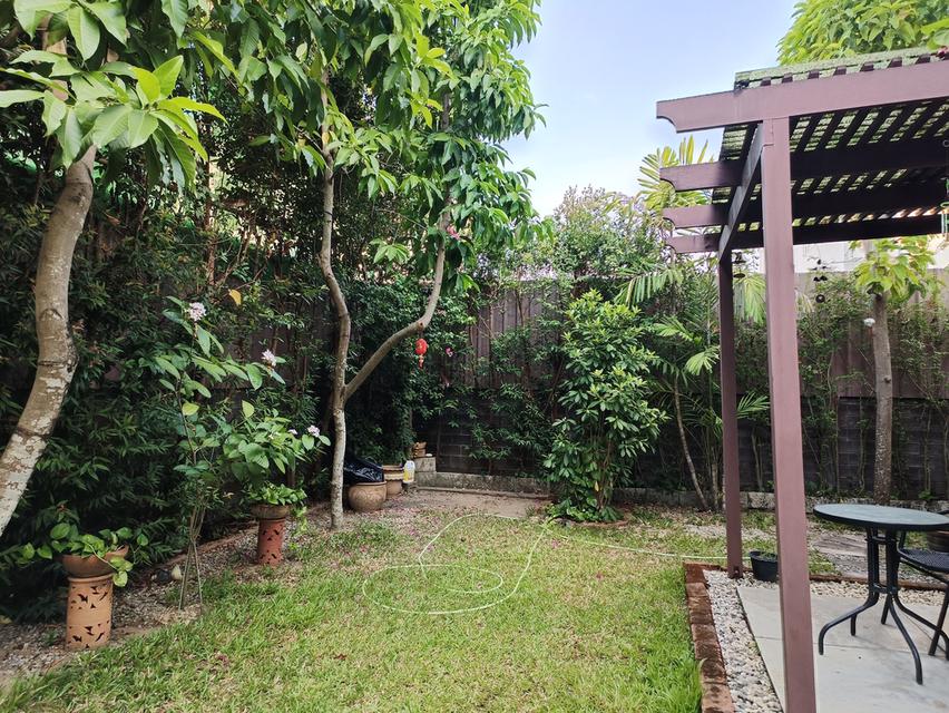 บ้านเดี่ยว2ชั้น 81ตรว โครงการ Q House 1