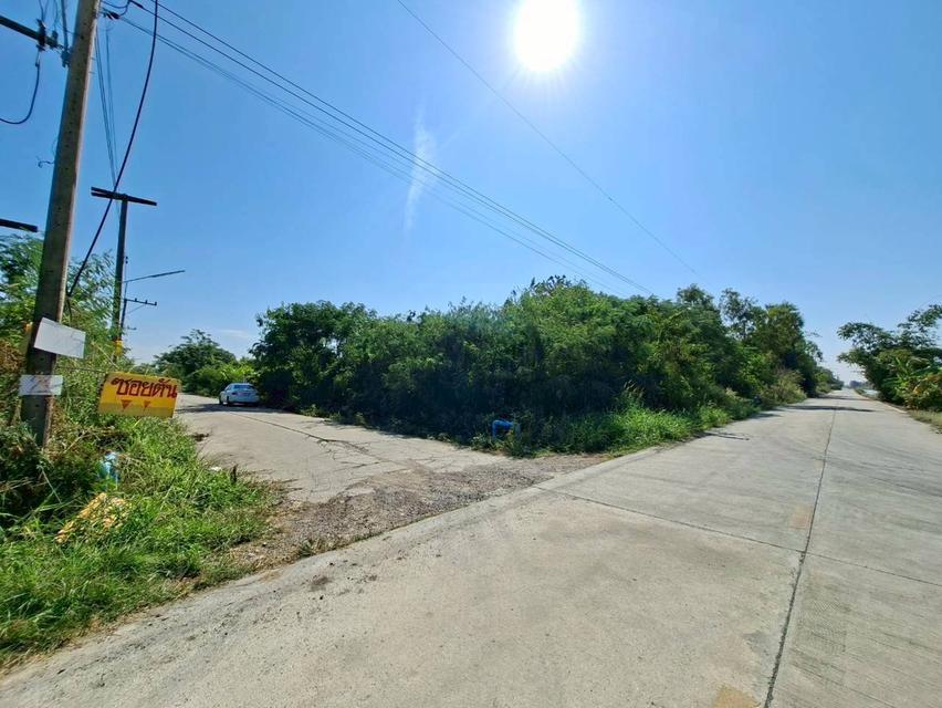 ขายที่ดินเปล่า ซอยสะพานเหลือง(คลองแอน คลอง4) คลองหลวง 4