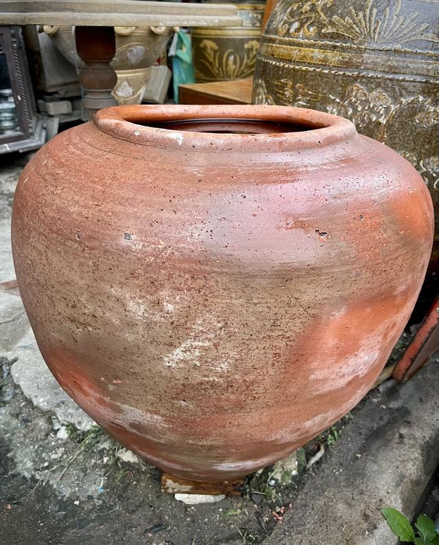 โอ่งดินแดงอยุธยา ใบใหญ่ ขนาด50ซม โอ่งดินเผาโบราณ 5