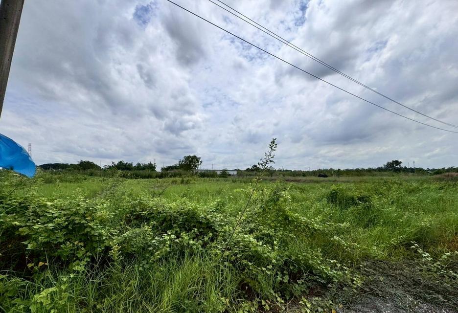 ขายที่ดินสวย ฉลองกรุงการ์เด้น ซอยวัดอู่ตะเภา ตรงข้าม FBT ฉลองกรุง (N.1754) 2
