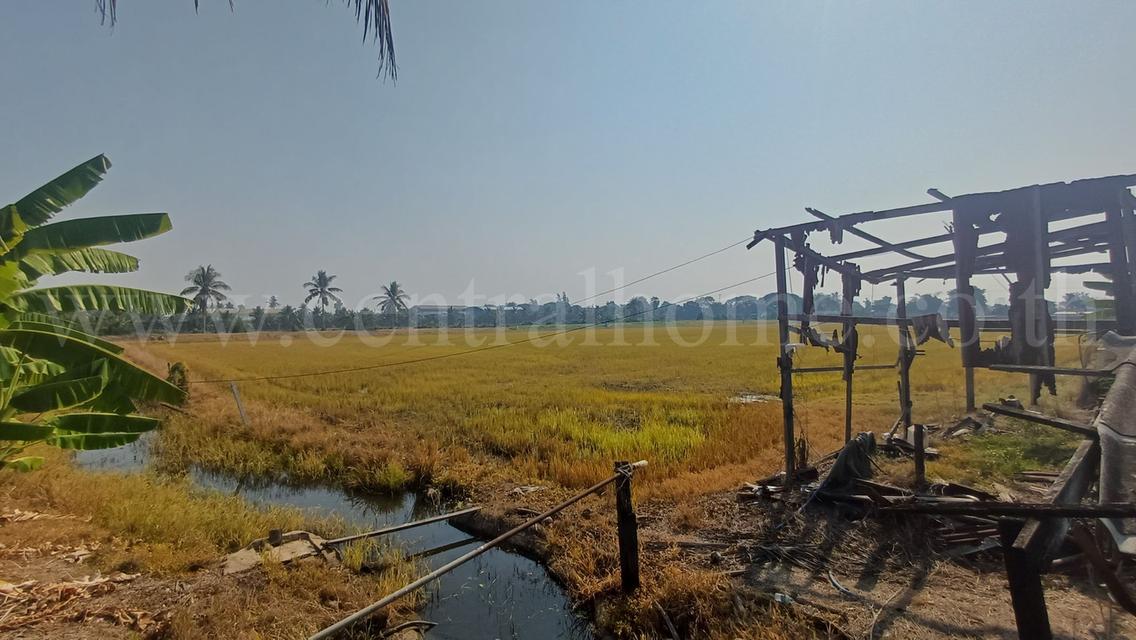 ที่ดิน 34-1-44 ไร่ ไทรน้อย นนทบุรี ทำเลดี ราคาถูกมาก 9