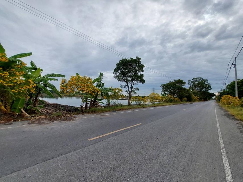 ขายที่ดิน 64-1-40 ไร่ ซอยสนามยิงปืนราชสีห์ อำเภอสามโคก จังหวัดปทุมธานี 6