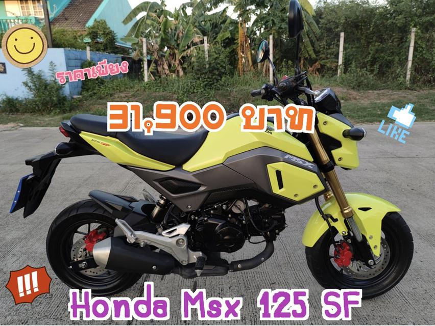  Honda Msx 125 SF สด-ผ่อน  2