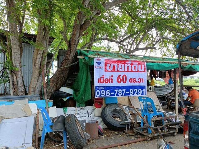 ขายที่ดิน พุทธมณฑลสาย 3 ชัชฎาวิลล่า 60 ตร.ว. บางแวก สำหรับสร้างบ้านพักอาศัย ทำเลดี รูปแปลงสี่เหลี่ยมผืนผ้า 2