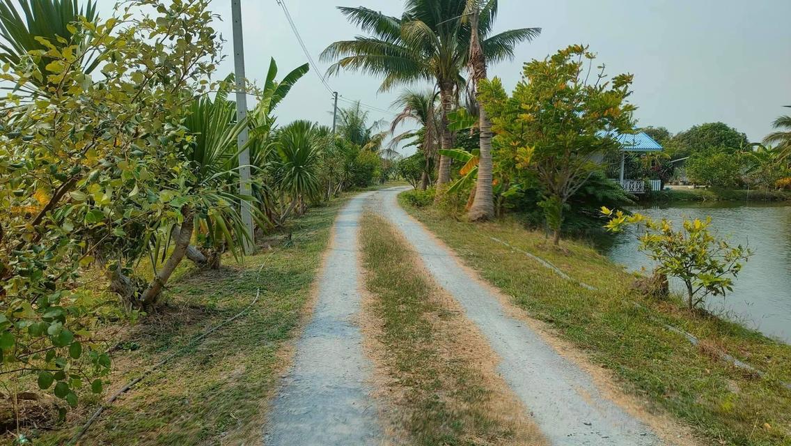 บ้านพร้อมที่ดินแปลงใหญ่ 13