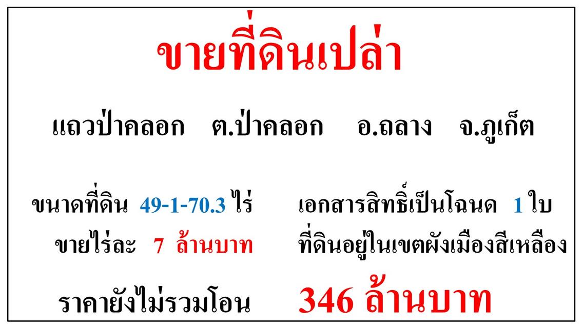 ขายที่ดินเปล่า ขนาด 49-1-70.3 ไร่  แถวป่าคลอก  ต.ป่าคลอก  อ.ถลาง  ภูเก็ต 1