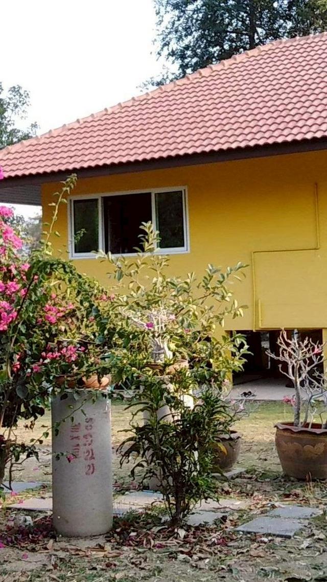 ขายที่ดินพร้อมบ้านพักตากอากาศ วิวภูเขาโอบล้อมเขาใหญ่-ปากช่อง. 3ห้องนอน 3 ห้องน้ำ แอร์ 2ห้อง1 ไร่ 94.1 ตารางวา คุณศิริพงษ์ 083-600-8600 / 0655941610 12