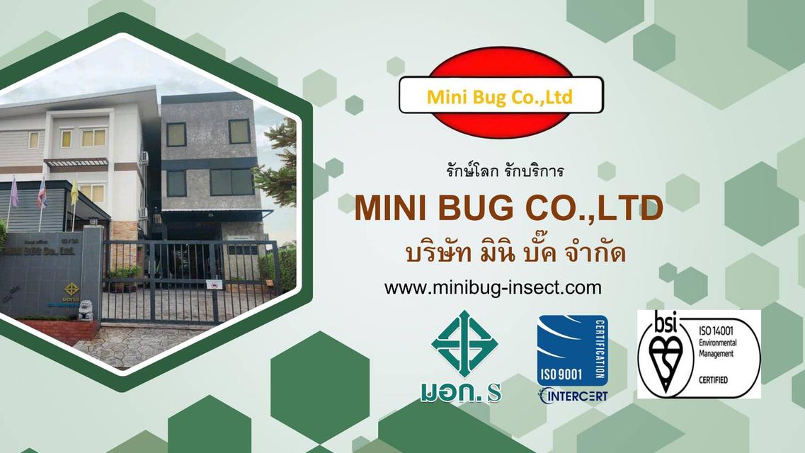 บริการป้องกันจำกัดปลวก มด หนู แมลงสาบอเมริกัน แมลงสาบเยอรมัน  ตัวเรือด ยุง แมลงวัน  Pest control