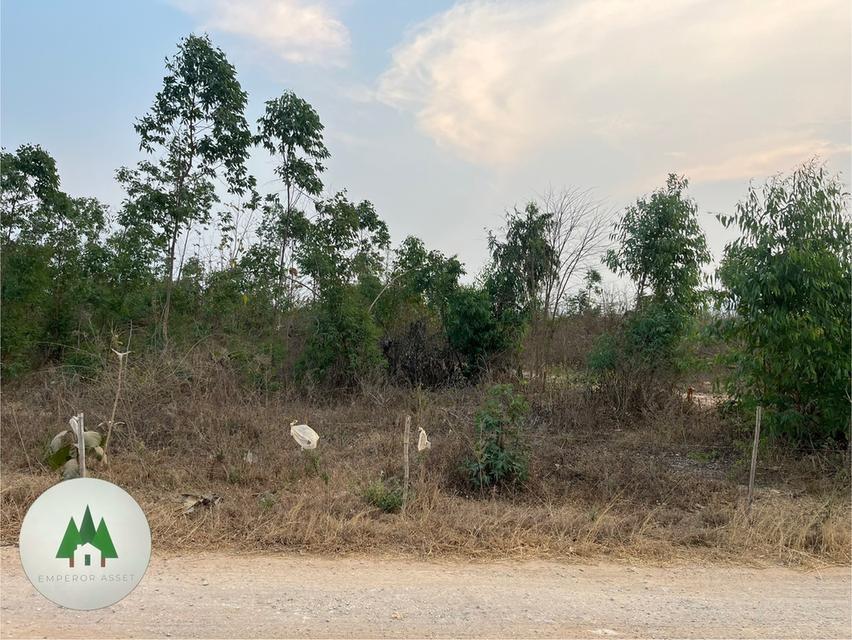 📣ขายที่ดินโฉนด ตำบลอ่างหิน อำเภอปากท่อ  จังหวัดราชบุรี ⛰️  เนื้อที่ 112 ไร่💰 ราคาไร่ละ 350,000 บาท 3