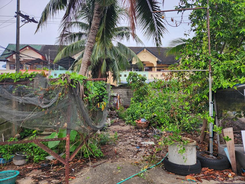 ขายด่วน !!! ที่ดินพร้อมสิ่งปลูกสร้าง อ.เมือง จ.สุราษฎร์ธานี 5