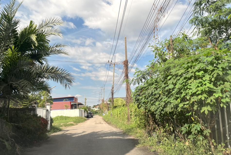 ขายที่ดิน 1 ไร่ ถนนนวมินทร์ ใกล้ทางด่วนเอกมัยรามอินทรา 098 7755 808 2