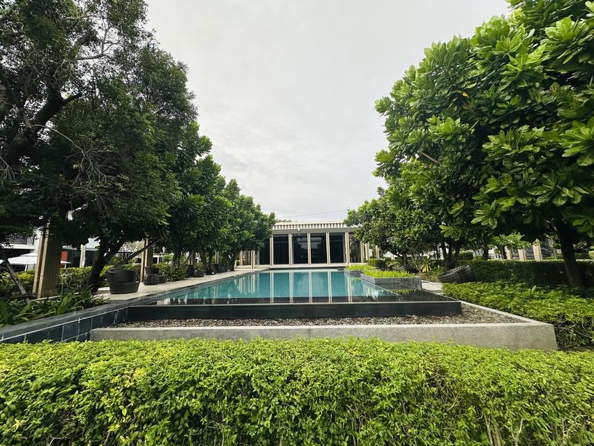 ขายทาวน์โฮม 2 ชั้น Habitown Nest ท่าข้าม – พระราม 2 ✨ เจ้าของขายเอง | ราคาคุ้มที่สุดในโครงการ! 🌹 ราคาปกติ 2.59 ลบ. ✅ พิเศษเพียง 2,390,000 บาท ทำเลดี 14