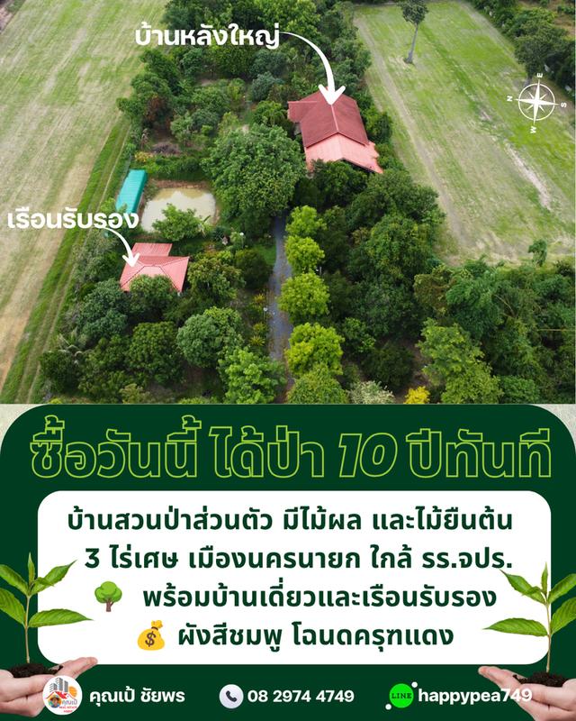 🌳 ที่ดินเมืองนครนายก พรหมณี 3 ไร่เศษ พร้อมบ้านสวนป่าส่วนตัวผังสีชมพู ใกล้ รร.จปร. 8