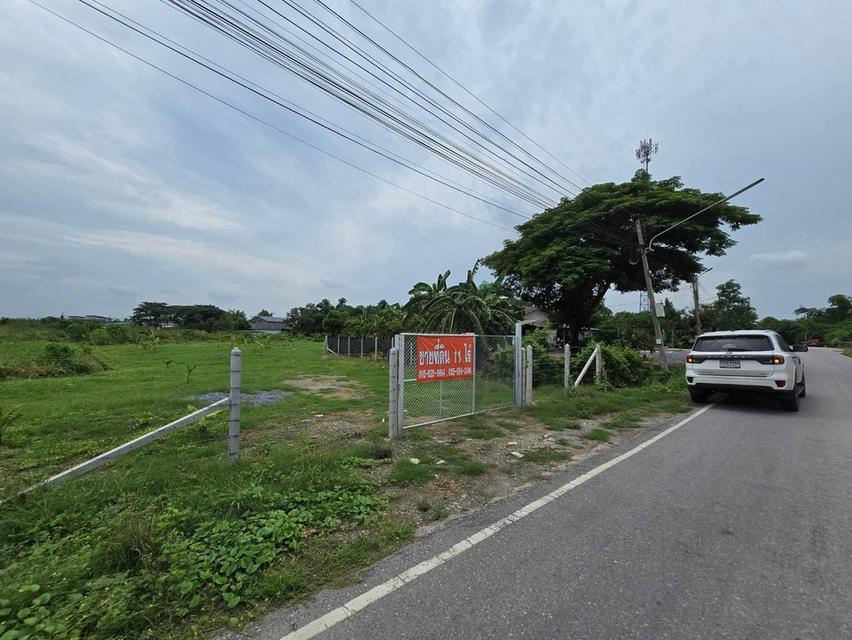 ที่ดิน จังหวัด นครปฐม 1