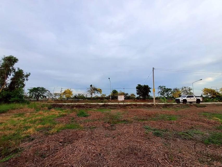 ขายด่วนทีดินติดถนนเลียบคลองห้า 368 ตารางวา ติดถนนคอนกรีตสาธารณะ อ.คลองหลวง จ.ปทุมธานี 8