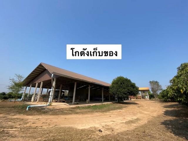 ขายที่ดินสวนลำไย ต.ฝายแก้ว อ.เมืองน่าน เนื้อที่ 69-3-23 ไร่ แถมที่ดินและอ่างเก็บน้ำ พร้อมระบบสาธารณูปโภค พลังงาน Solar c 4