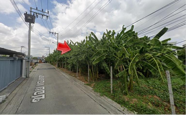 #ขายที่ดินแปลงสวย_ซอยลาดพร้าว71_บางกะปิ กทม. ทำเลดี  ย่านชุมชนอยู่อาศัย  ใกล้แหล่งธุรกิจและพาณิชยกรรม 2
