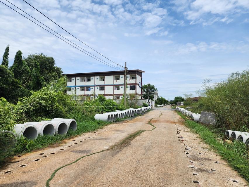 ขาย ที่ดินเปล่า ถมแล้ว 200 ตร.ว. ถ.บางบัวทอง-สุพรรณบุรี (สาย 340) 7