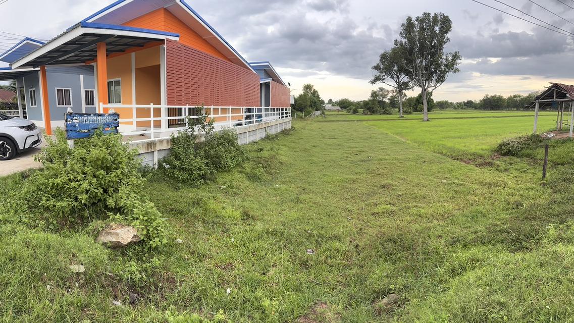 ขายที่ดิน 5 ไร่ ใจกลางเมืองปราสาท จ.สุรินทร์ (ต.กังแอน) ทางเข้ากว้าง 13 ม. เหมาะพัฒนาโครงการบ้านจัดสรร 4