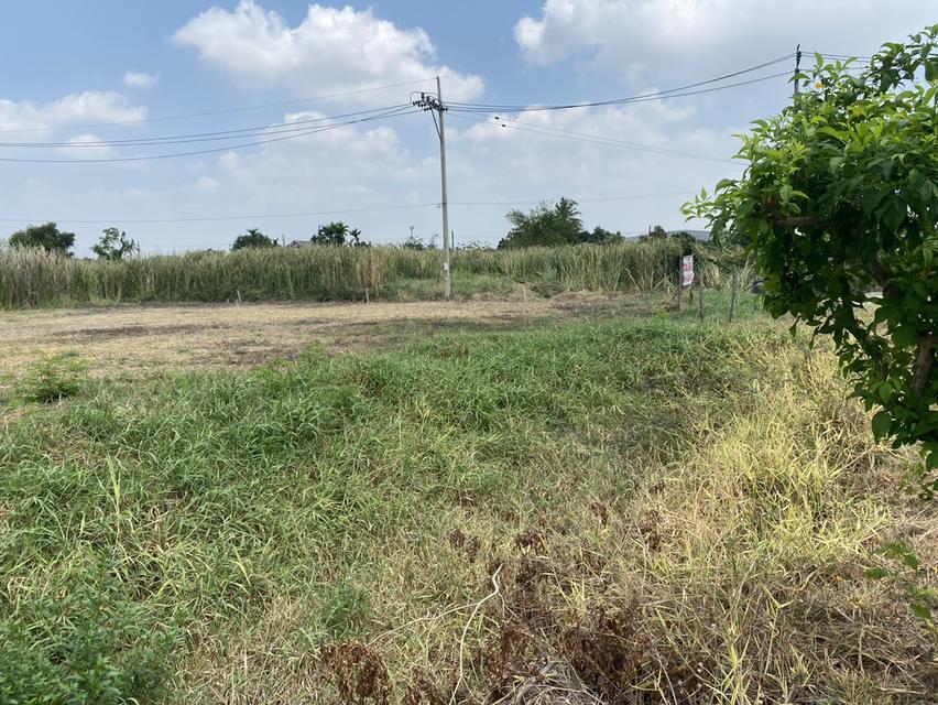 ขายที่ดินเปล่า ติดถนนใหญ่ คุ้มเกล้า ลาดกระบัง 4