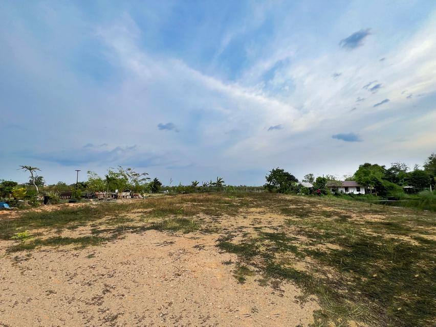 ที่ดินเปล่า 1 ไร่ @บ้านโพธิ์ 6