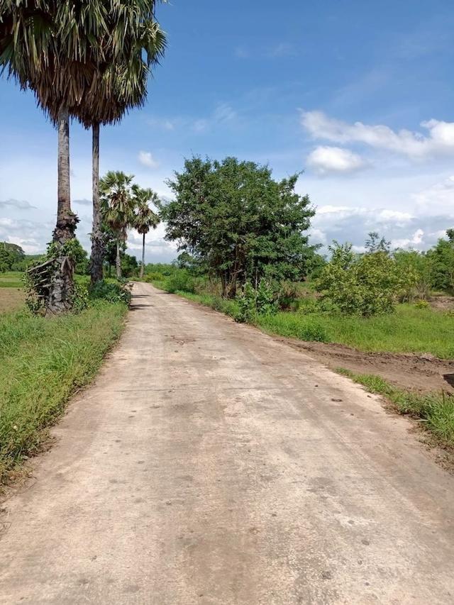 ที่ดินเพนียด โคกสำโรง ลพบุรึ ขนาด 102 ตร.วา 115000 บาท 10