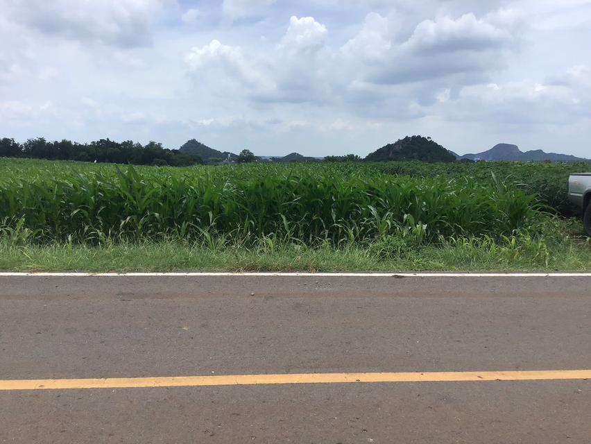 ขายที่ดิน โฉนดครุฑแดง ขนาด 48 ไร่  13