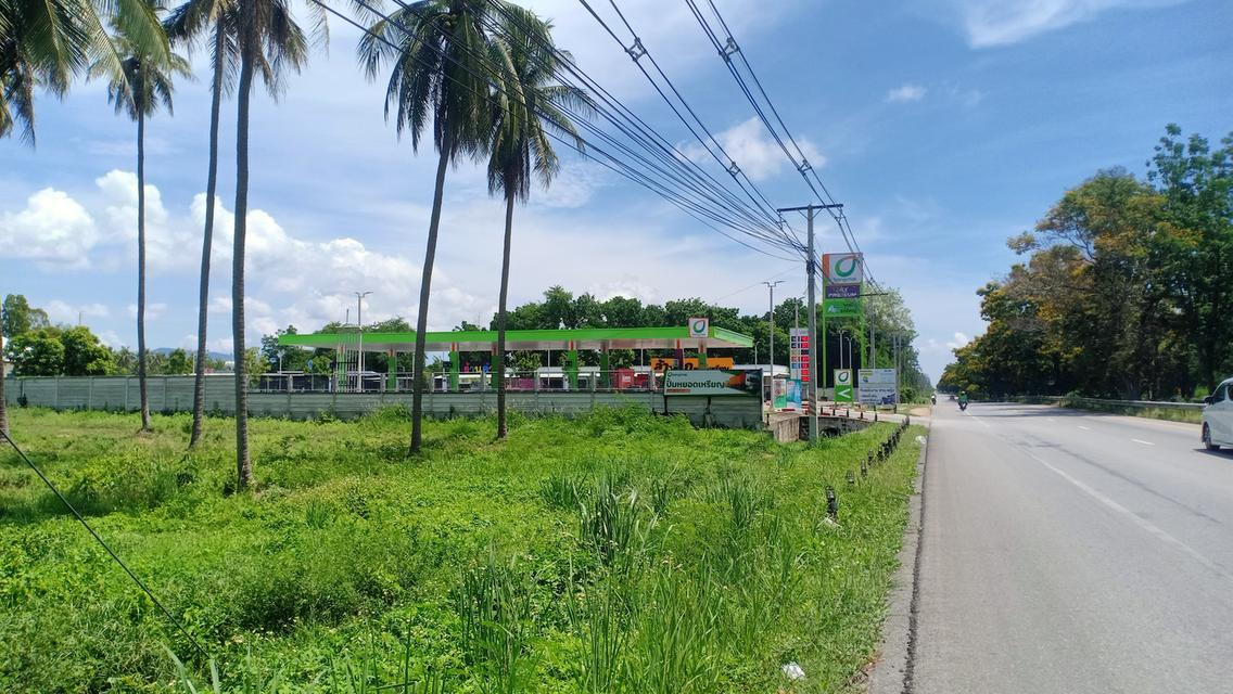 ขายที่ดิน ริม ถ.เพชรเกษม 11 ไร่ 3 งาน ติดปั๊มบางจาก