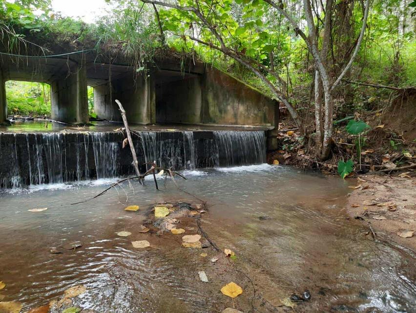 ที่ดินวิวเขาติดลำธาร ระยอง 4