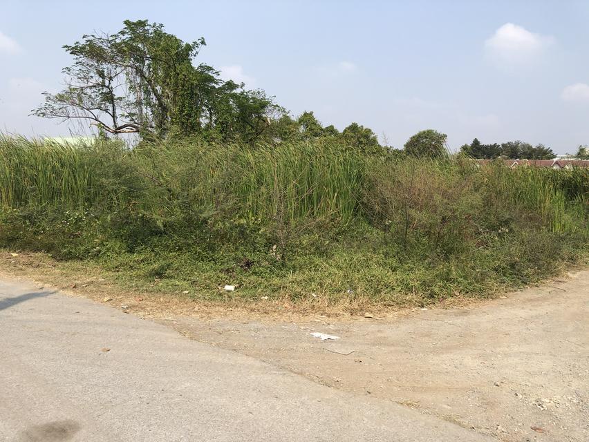 ให้เช่าที่ดินเปล่า 358 ตารางวา 6