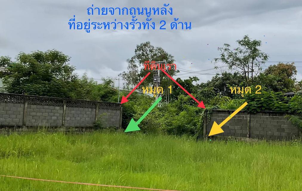 ขายที่ดิน 135 ตารางวา อยู่ปากทางเข้าเขาคันทอง อยู่หลังโลตัส เอ็กซ์เพรส คลองสัก 1
