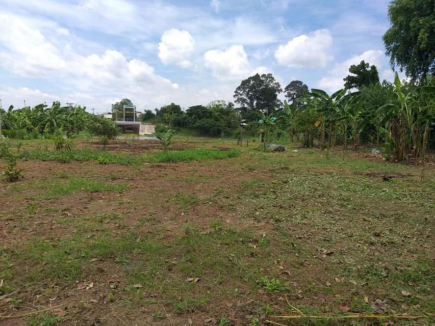 ที่ดินติดแม่น้ำป่าสัก 4