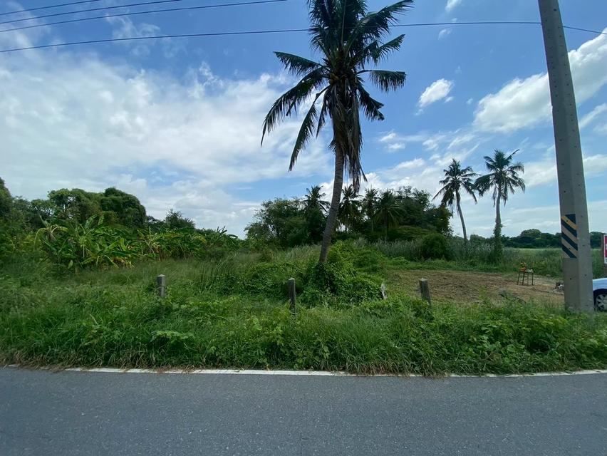 ขายที่ดิน 8 ไร่ อยู่ถนนสายเอเซีย อ. อินทร์บุรี จ. สิงห์บุรี 9
