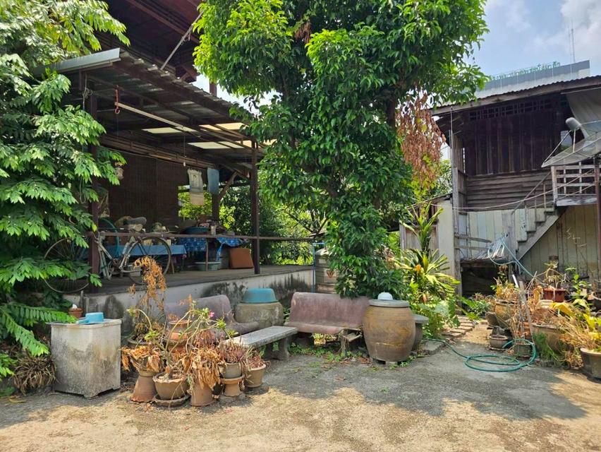 บ้านและที่ดิน360ตรว พระนั่งเกล้า นนทบุรี 6