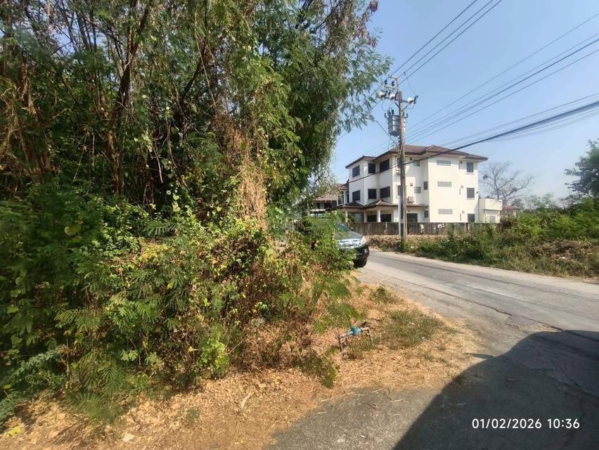 ขายด่วนที่ดินใกล้ตลาดเชฟวันโก 110 ตารางวา) ติดถนนคอนกรีตสาธารณะ ซอยสายไหม38 เขตบางเขน 7