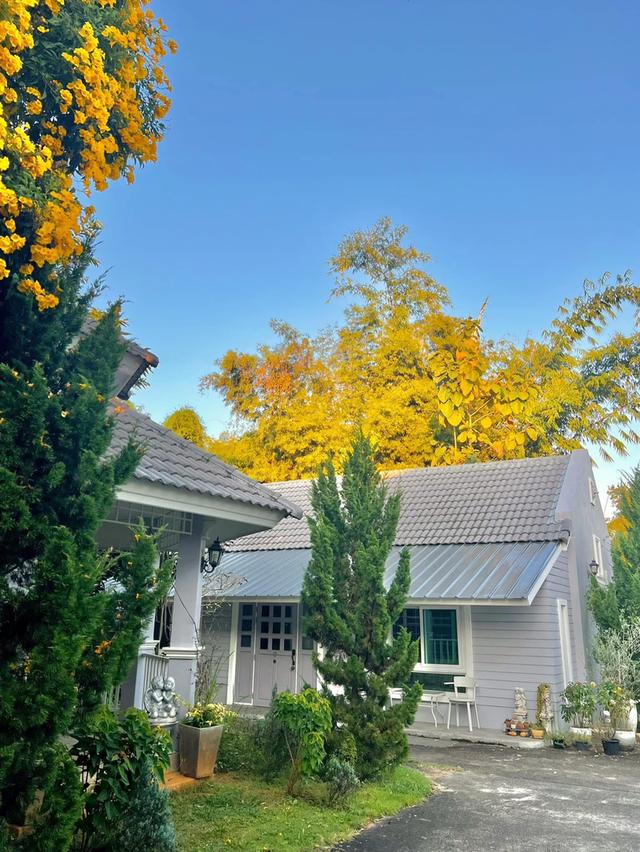 ขายบ้านสวยอยู่สบายอำเภอเมืองเชียงราย เจ้าของขายเอง — วิวภูเขา น้ำไม่เคยท่วม ทำเลดี เหมาะทั้งอยู่อาศัยและทำธุรกิจ 8