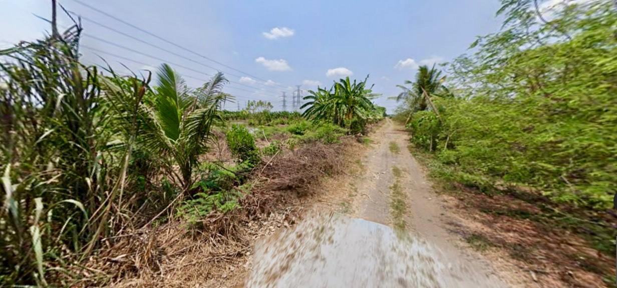 	 ขายที่ดินเปล่าหนองจอก ถ.ประชาสำราญ1 (ซอยคลองสิบสาม) 1716 7