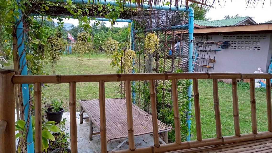 ขายที่ดินทางเลือก (ภบท5) ราคาจับต้องง่าย. ( 612บ./ ตร.วา ) ( 20 ไร่. : 4.9 ล้าน ) | ซื้อขาย เปลี่ยนชื่อได้ : พื้นที่. ปลอดภัยฯ หายห่วง | อากาศบริสุทธิ 11