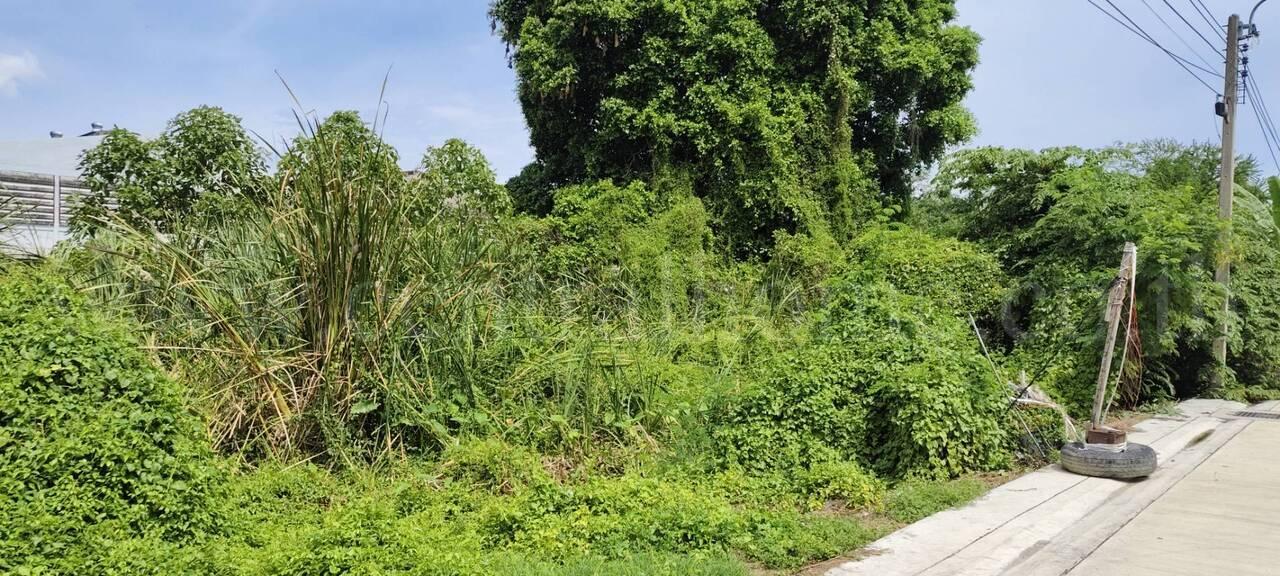 ให้เช่า ที่ดินเปล่า 60 ตร.วา ซอย บางปลา 14 บางพลี สมุทรปราการ 12